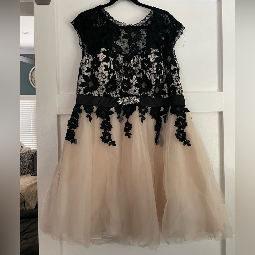 Masquerade Black and Cream Fit and Flare Dress